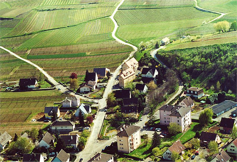 Wintzenheim